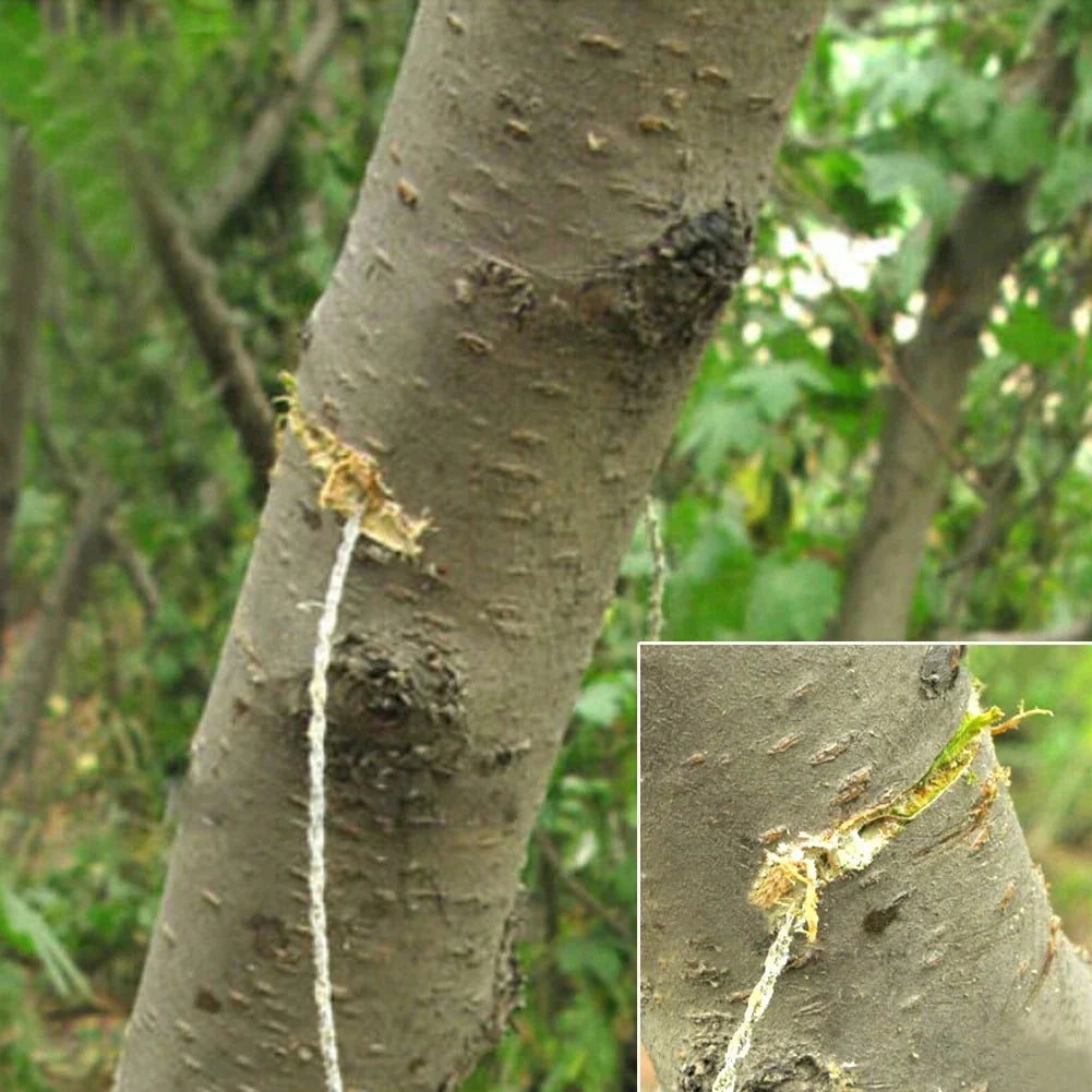 Travel-friendly Stainless Wire Survival Saw